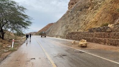 الإدارة المحلية