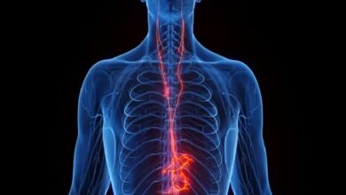 اكتشاف جديد