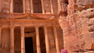 نمو أعداد الزوار