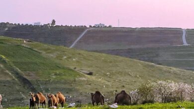 الأردن : أجواء باردة نسبيًا
