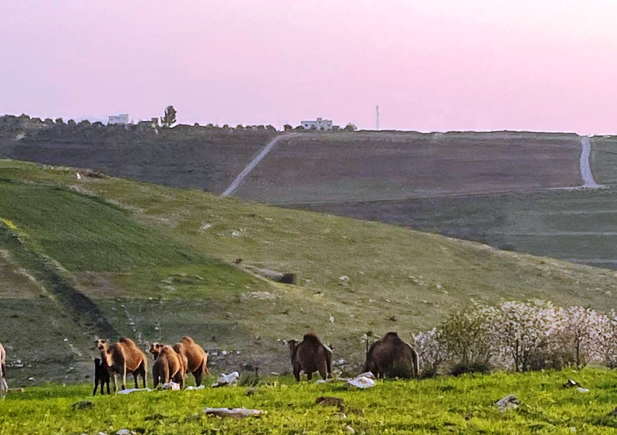 الأردن : أجواء باردة نسبيًا