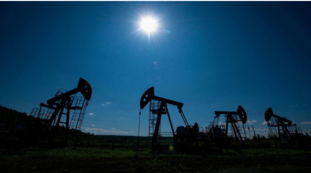 Oil
