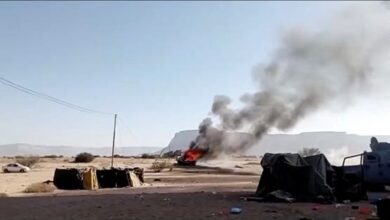 اليمن : قوات "درع الوطن"