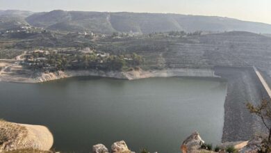 الهطول المطري