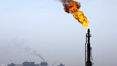 Oil