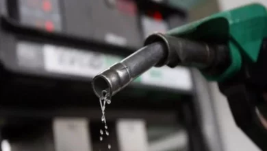 Oil