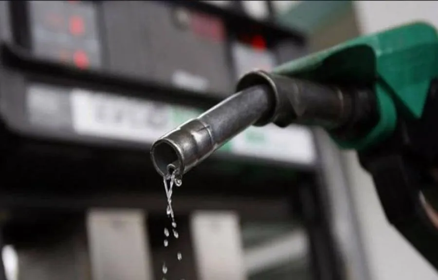 Oil