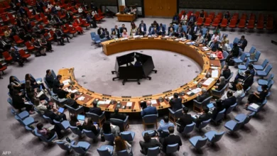 UN Security Council