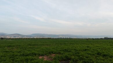 Farming