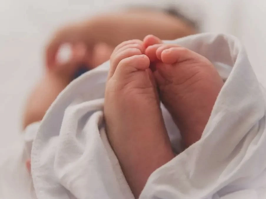 Newborn