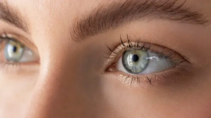 Eyes